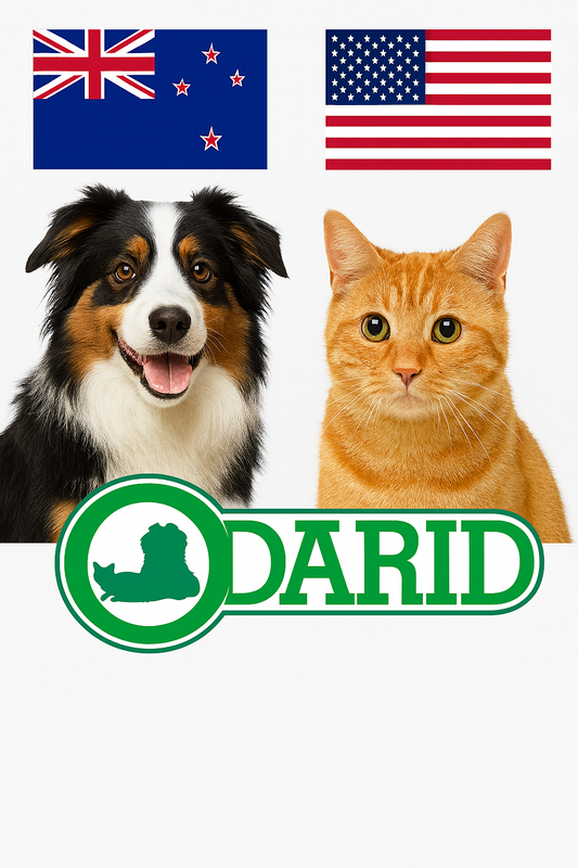 From Carpet Catastrophes to Clean Living: How Odarid Made Its Way to the USA